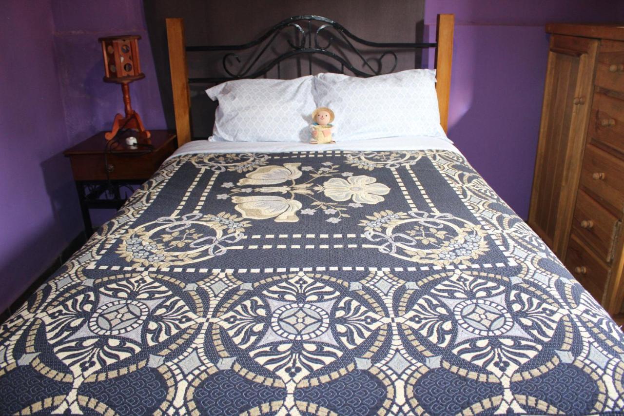 Casa Jardin Villa Guanajuato Ngoại thất bức ảnh